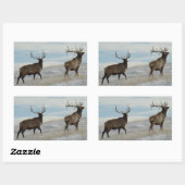 E57 Bull Elk Lucky 13ブル 長方形シール (シート)