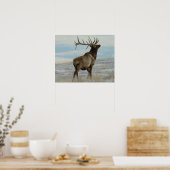 E58ブルエルクラッキー13ブル ポスター (キッチン)