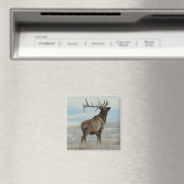 E58ブルエルクラッキー13ブル マグネット (インサイチュ (食洗機))