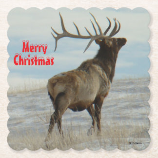 E58 Big Bull Elk Lucky 13 Coaster ペーパーコースター