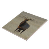 E59ブルエルク タイル (側面)