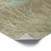 E6ブルエルクインベルベット ポスター (角)