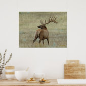 E6ブルエルクインベルベット ポスター (キッチン)