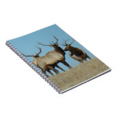 E60ブルエルクスカイライン ノートブック (右側)