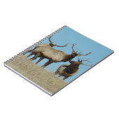 E60ブルエルクスカイライン ノートブック (左側)