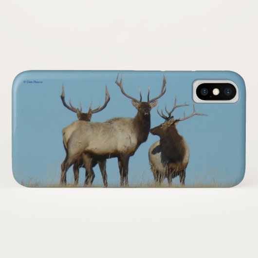E60ブルエルクスカイライン Case-Mate iPhoneケース (裏面(横))