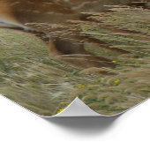 E61カウエルクとカーフ ポスター (角)