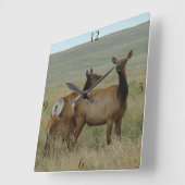 E61牛オオシカおよび子牛 スクエア壁時計 (傾斜)