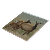 E61 シカの雌と子 タイル (側面)