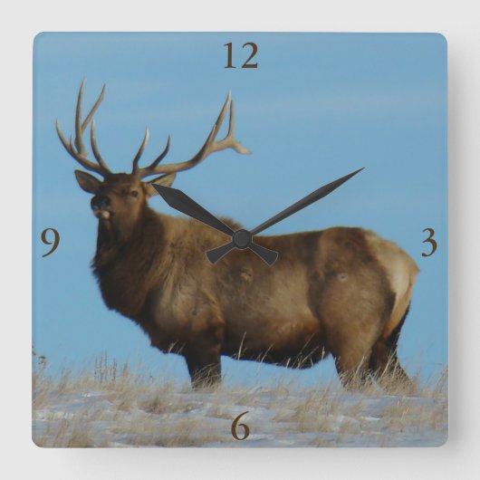 E62ブルエルクスカイライニング スクエア壁時計 (正面)