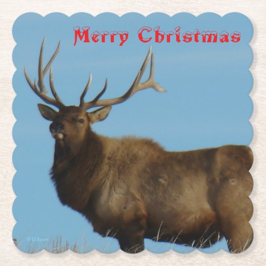 E62 Bull Elk and Blue Sky Coaster ペーパーコースター (正面)