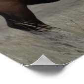 E63ブルエルクアンドプロングルアンテロープ ポスター (角)