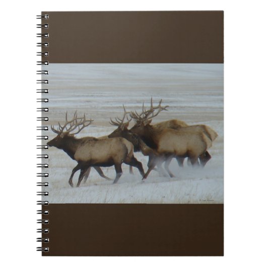 E64ブルエルクランニングズイン雪 ノートブック (正面)