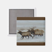 E64ブルエルクランニング マグネット (正面/裏面)