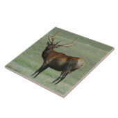 E65 Bull Elk Mady Bull in Velvet タイル (側面)