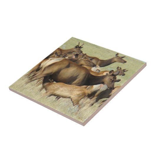 E7カウズ食べ物を与えカーフエルク タイル (側面)