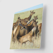 E7牛と子牛の食べ物を与えエルク スクエア壁時計 (傾斜)