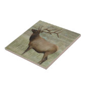 E8ブルエルクインビロード タイル (側面)