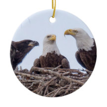 E9及び家族の休日のオーナメント