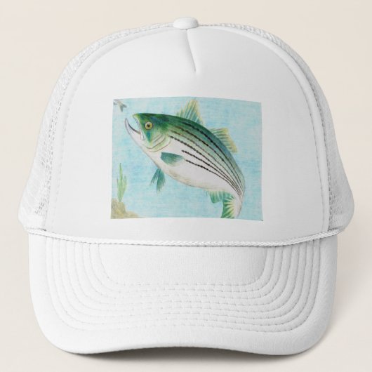 E.バンス、等級8著勝利アートワーク キャップ (正面)