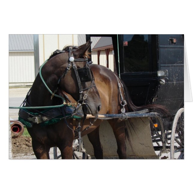 E.ヒッチングポストで (正面横)