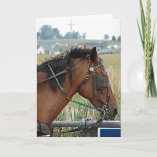 E.ヒッチングポストで カード (正面)