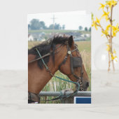 E.ヒッチングポストで カード (黄色い花)