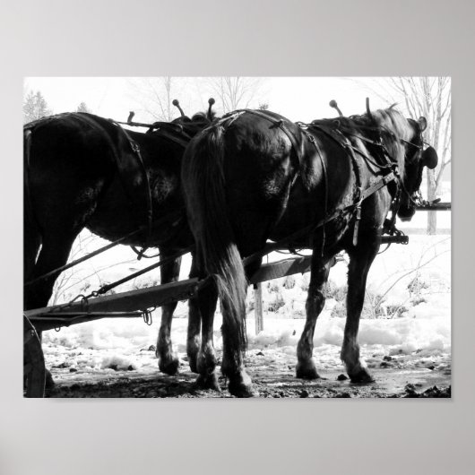 E.ヒッチングポストで ポスター (正面)