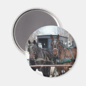 E.ヒッチングポストで マグネット (正面/裏面)