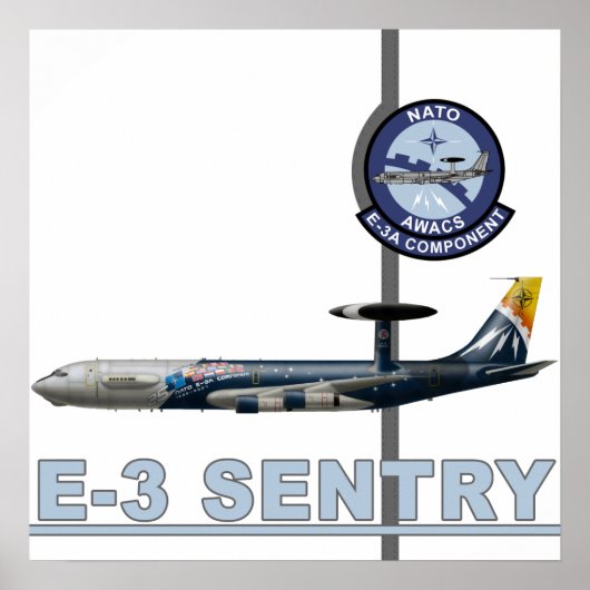 E-3 Sentry Print ポスター (正面)