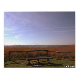 E.A.シュナイダーの平和の場 フォトプリント           