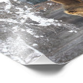 E.A.シュナイダー著雪の王 フォトプリント            (角)