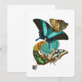 E.A. Séguy Vintage Butterflies Illustration 招待状 (正面/裏面)