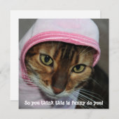 É hilarant le chat Bengal, "Alors vous pensez que  シーズンカード (正面/裏面)