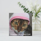 É hilarant le chat Bengal, "Alors vous pensez que  シーズンカード (スタンド正面)