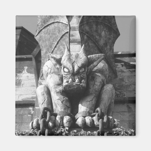 E.S.ペンガルゴイル磁石 マグネット (正面)