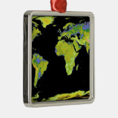 Eaの大陸のデジタル標高モデル メタルオーナメント (右)