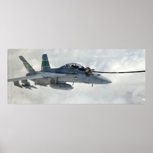 EA-18Gグローラー ポスター (正面)