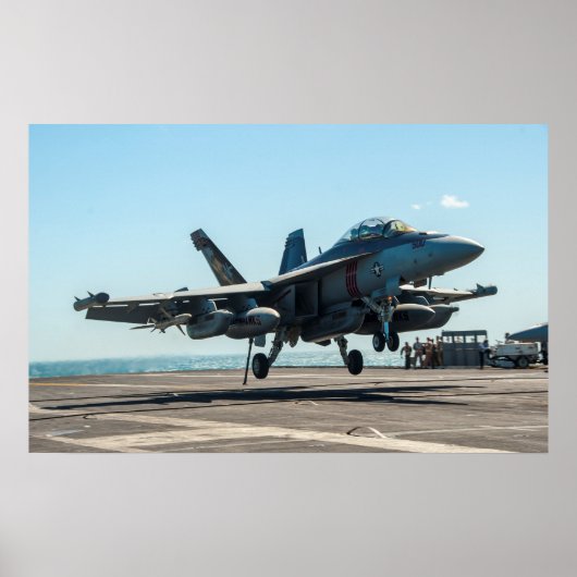 EA-18Gグローラー ポスター (正面)