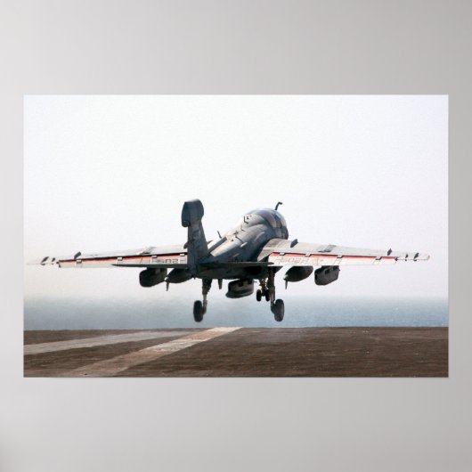 EA-6BのProwler ポスター (正面)