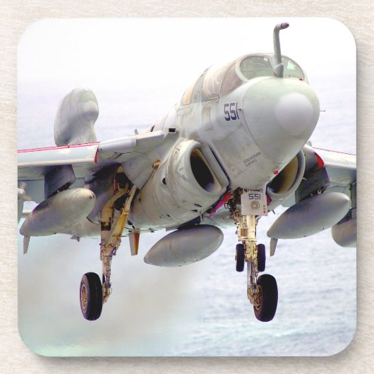 EA-6Bプローラー コースター (正面)