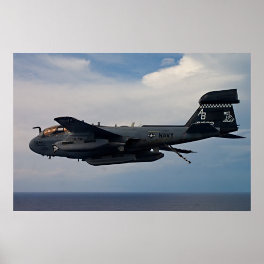 EA-6Bプローラー ポスター (正面)