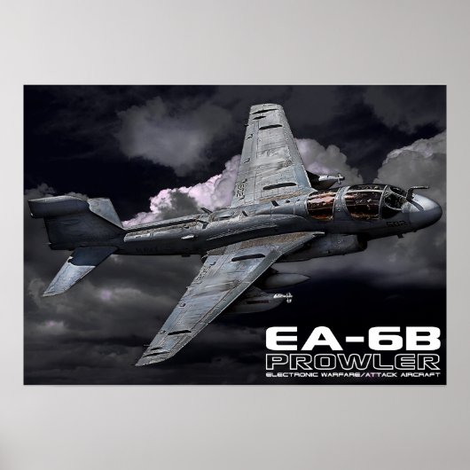EA-6Bプローラー ポスター (正面)
