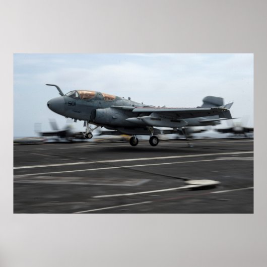 EA-6Bプローラー ポスター (正面)