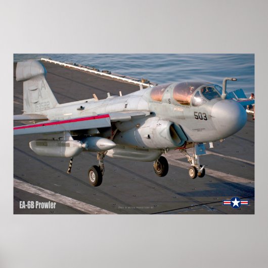 EA-6Bプローラー ポスター (正面)