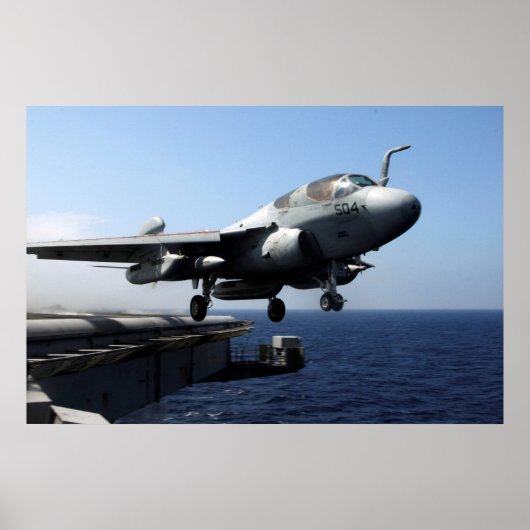 EA-6Bプローラー ポスター (正面)