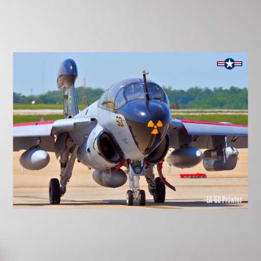 EA-6Bプローラー ポスター (正面)