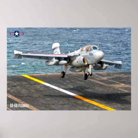 EA-6Bプローラー ポスター (正面)