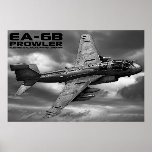 EA-6Bプローラー ポスター (正面)