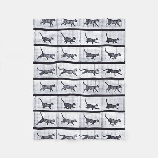 EADWEARD MUYBRIDGE: 猫歩く-羊毛質毛布 フリースブランケット (正面)